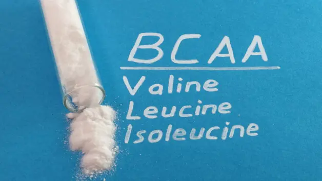 O Que é BCAA? Benefícios Para o Ganho de Massa e Recuperação